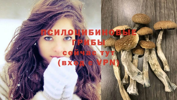 спайс Абдулино